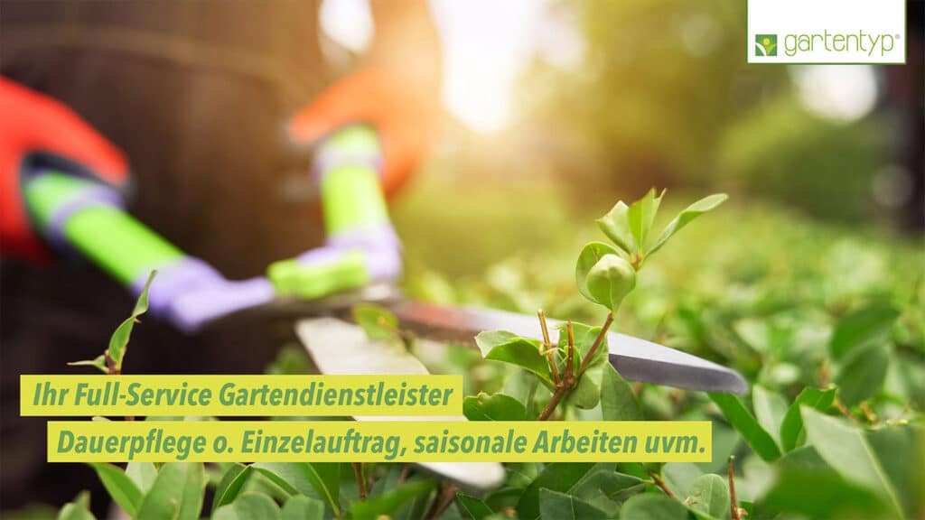 gartentyp-Gartenpflege